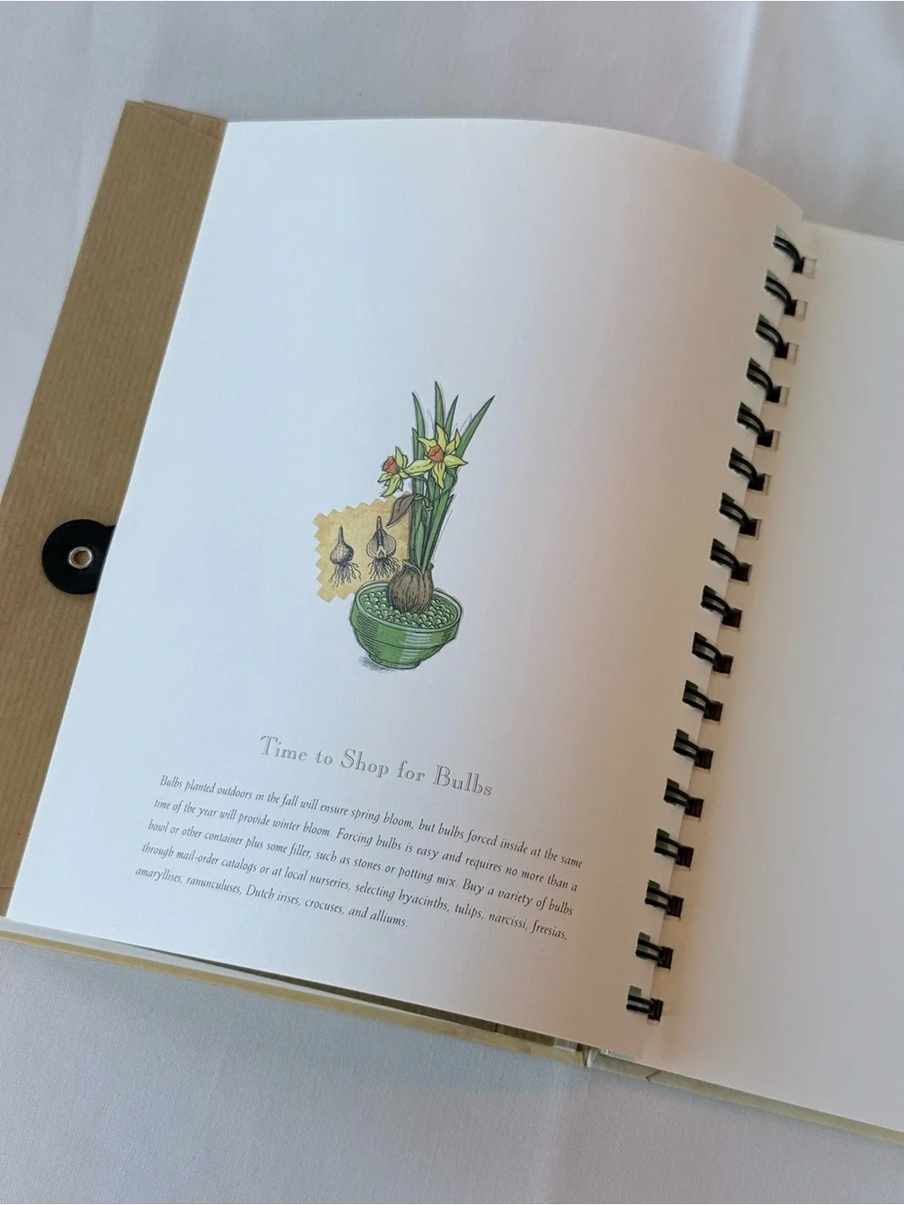 Garden Dreams Orange Tulip Spiral Notebook — Gardeners Scrapbook